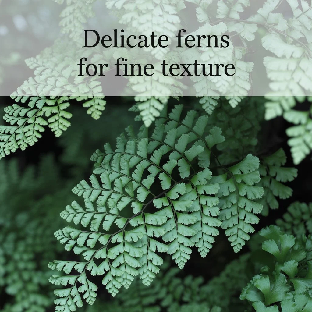 Delicate Ferns for Fine Texture