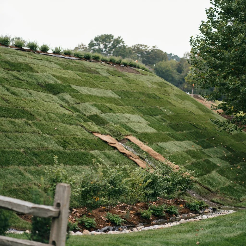A grassy slope demonstrating erosion control benefits of turf