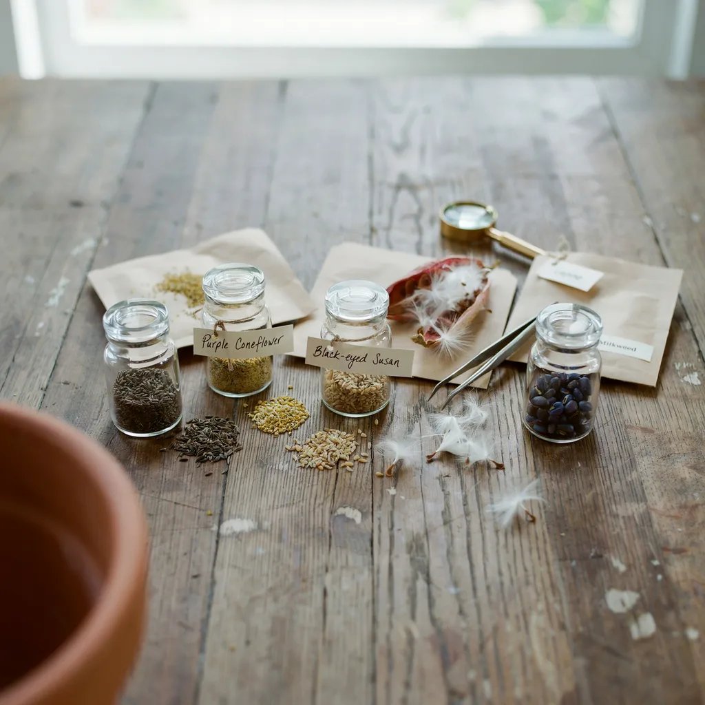 A variety of native wildflower seeds selected for seed bombs